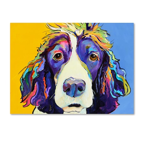 Trademark Fine Art Pat Saunders-White; 'Sadie' Canvas Art, 35x47 PS008-C3547GG